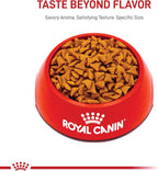 Royal Canin Feline Care Nutrition Hairball Care Adult Dry Cat Food, 14 lb Bag - Image 9