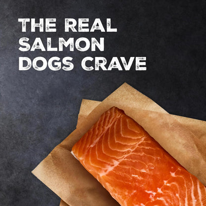 Blue Buffalo authentic USA imported natural ingredients salmon dog treats packaging detailed look