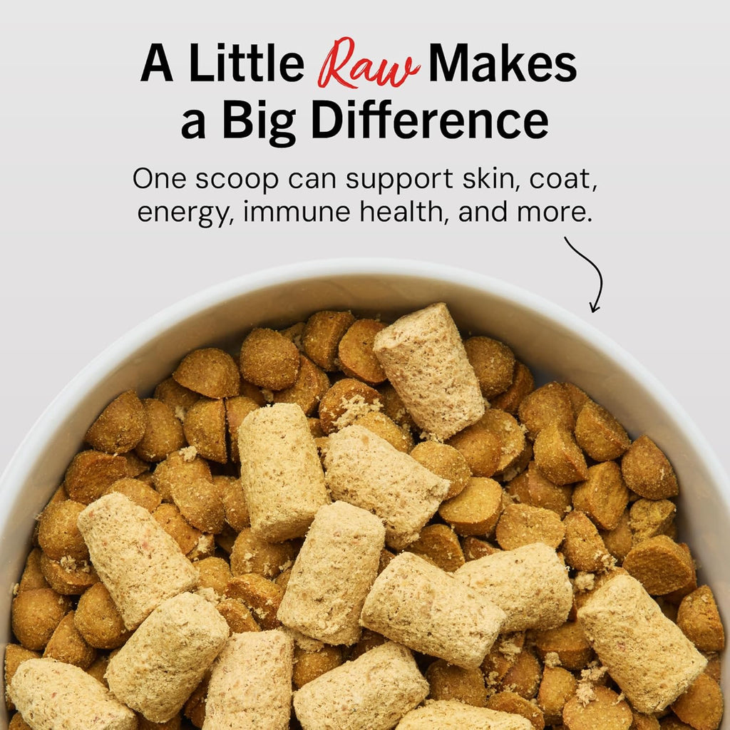 Stella & Chewy's Dandy Lamb dog food topper freeze-dried pieces close up