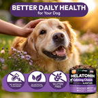 Advanced melatonin dog medicine bottle for fireworks and thunderstorm anxiety relief.