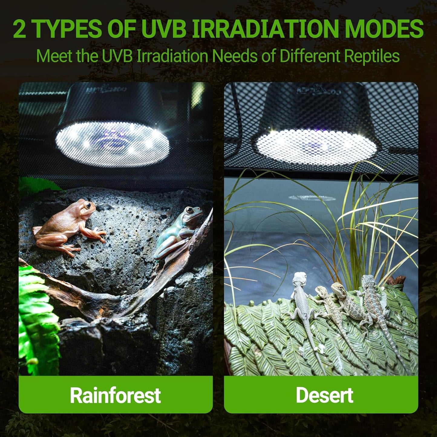 Shatterproof aluminum alloy reptile light housing with hanging hardware.
