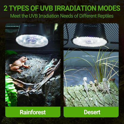 Shatterproof aluminum alloy reptile light housing with hanging hardware.