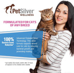 PetSilver skin treatment spray for cats and dogs