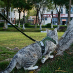 Velcro closure system overview on extra large feline harness