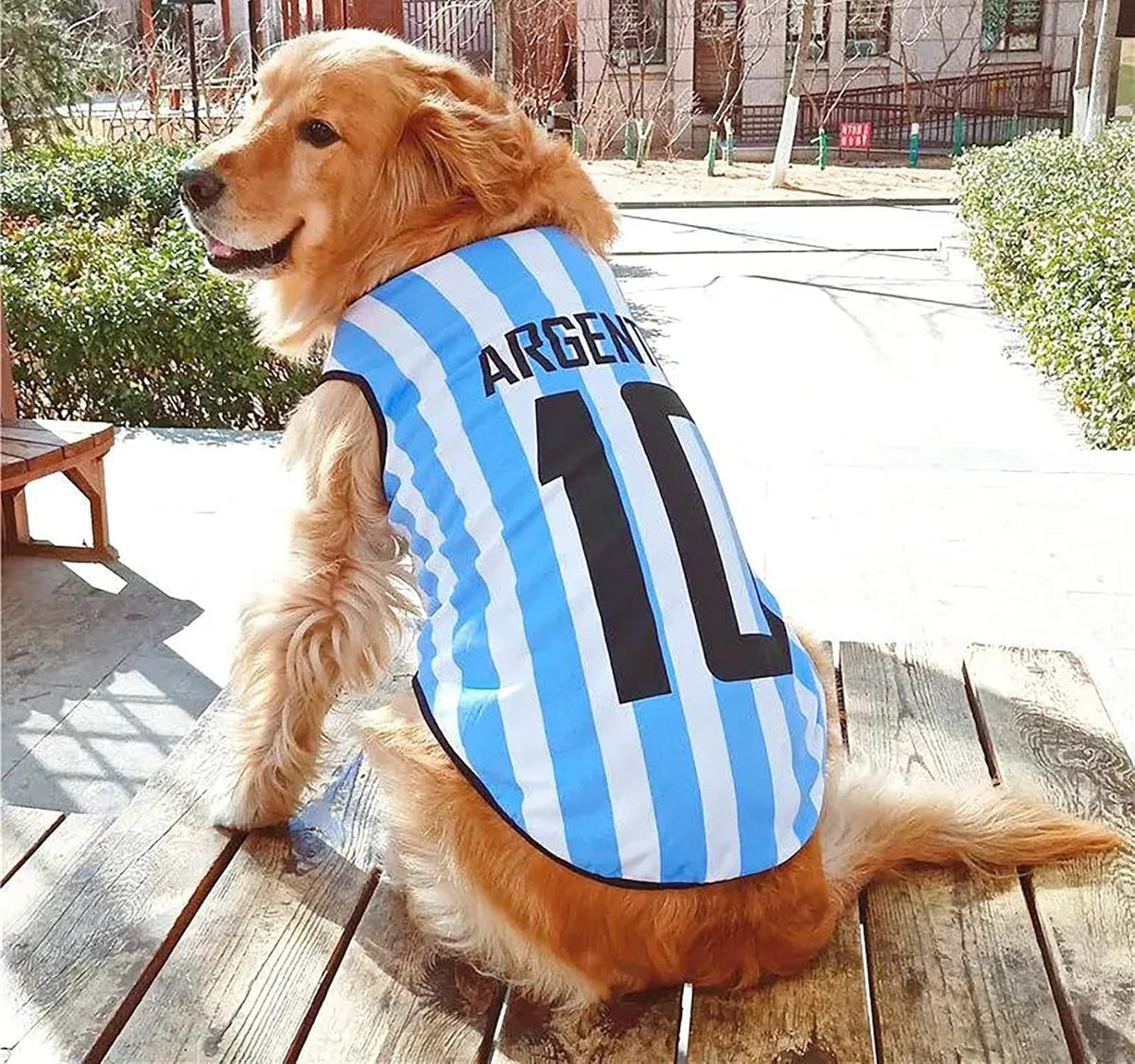 GabeFish national team pet apparel back view