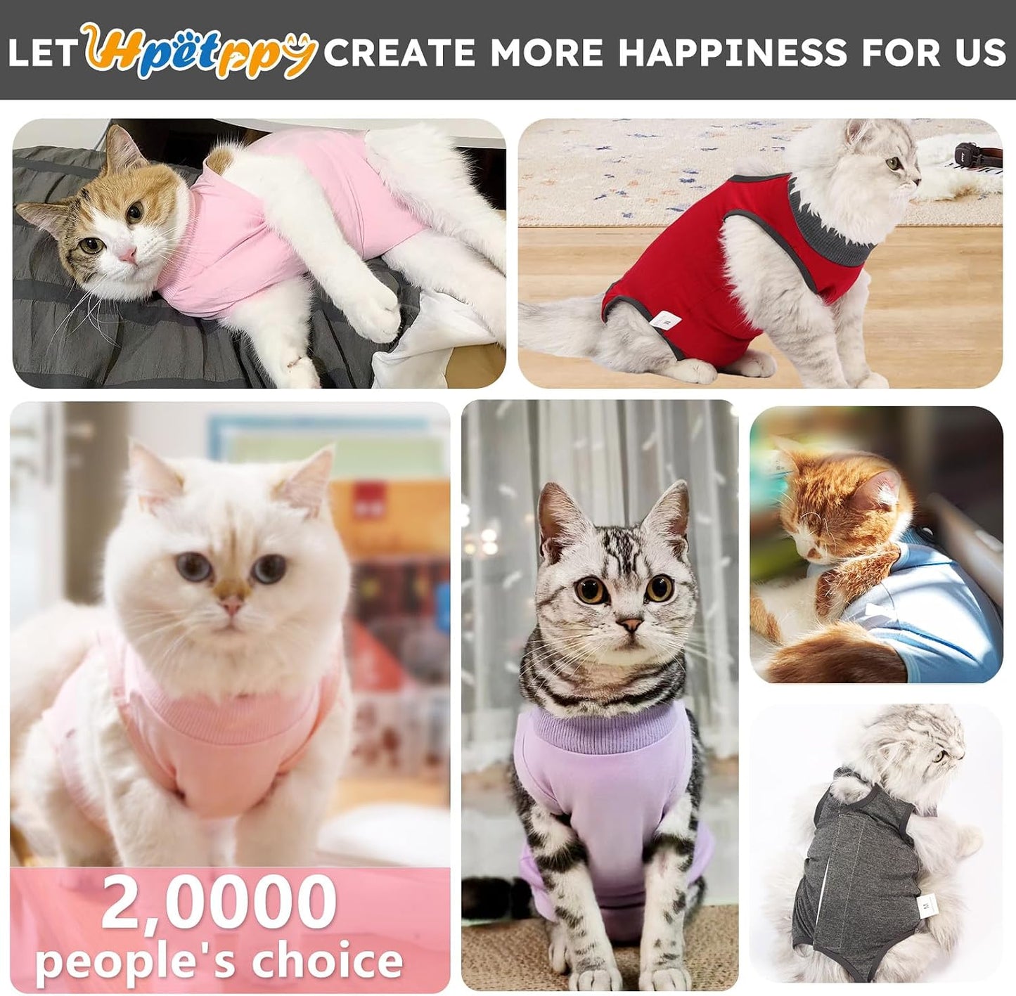 Adjustable neck elastic on Hpetppy cat surgery recovery wear