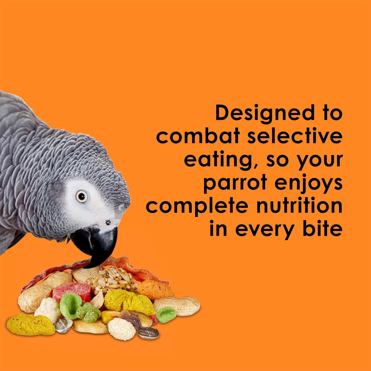 Adult parrot eating Kaytee Fiesta premium gourmet seed mix