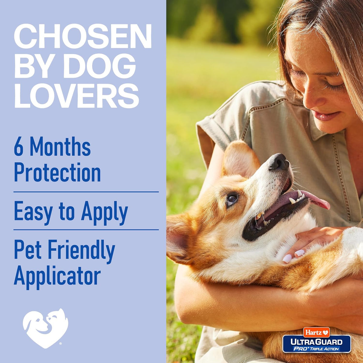 Hartz six single dose tubes for sixty one to one hundred fifty pounds dogs