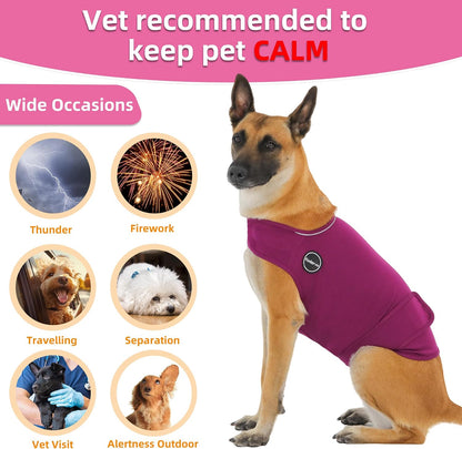 Side view of Kodervo thunder jacket on a dog