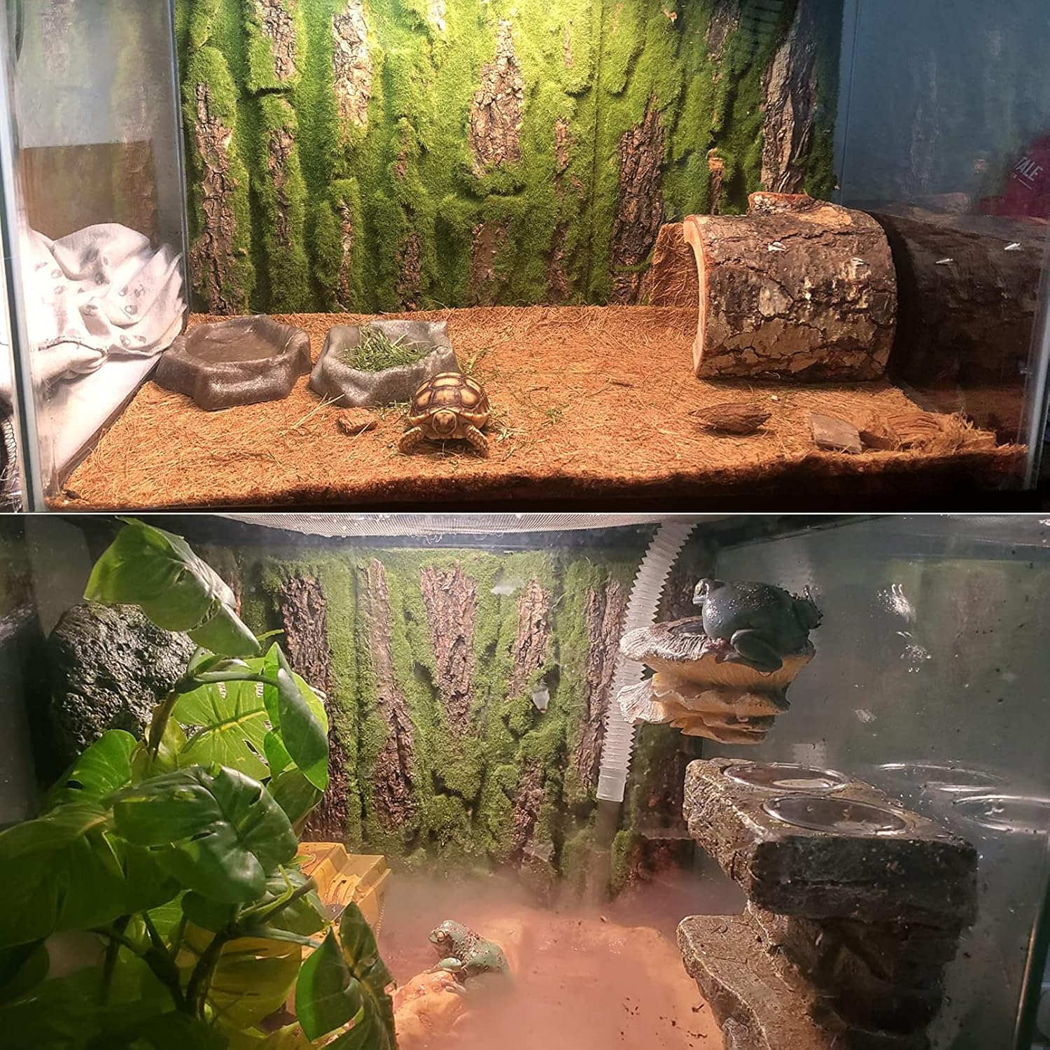 Four pack of natural bark backdrop panels for bearded dragon tank habitat decoration.