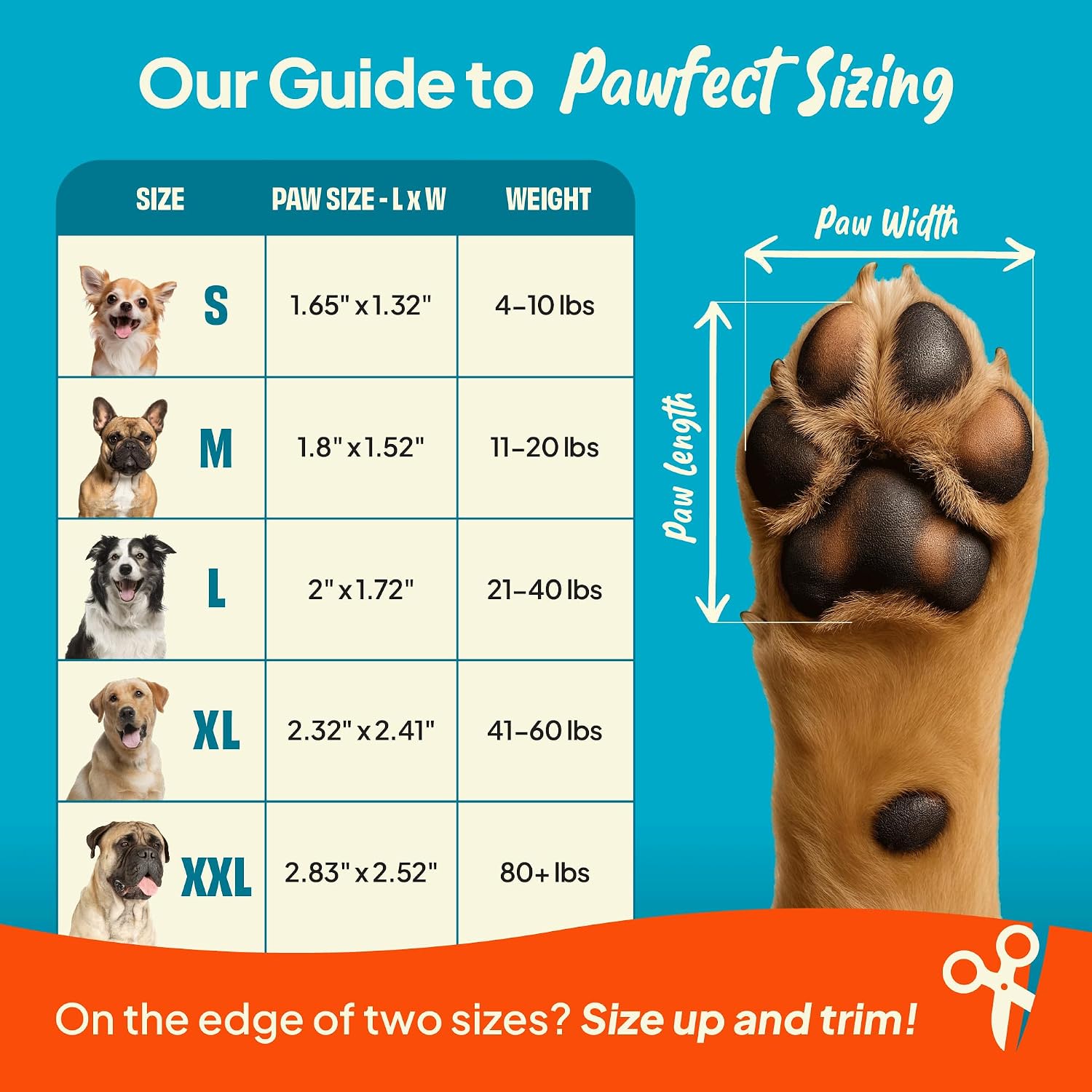 Steady Paws adhesive paw stickers pack of 24 pieces
