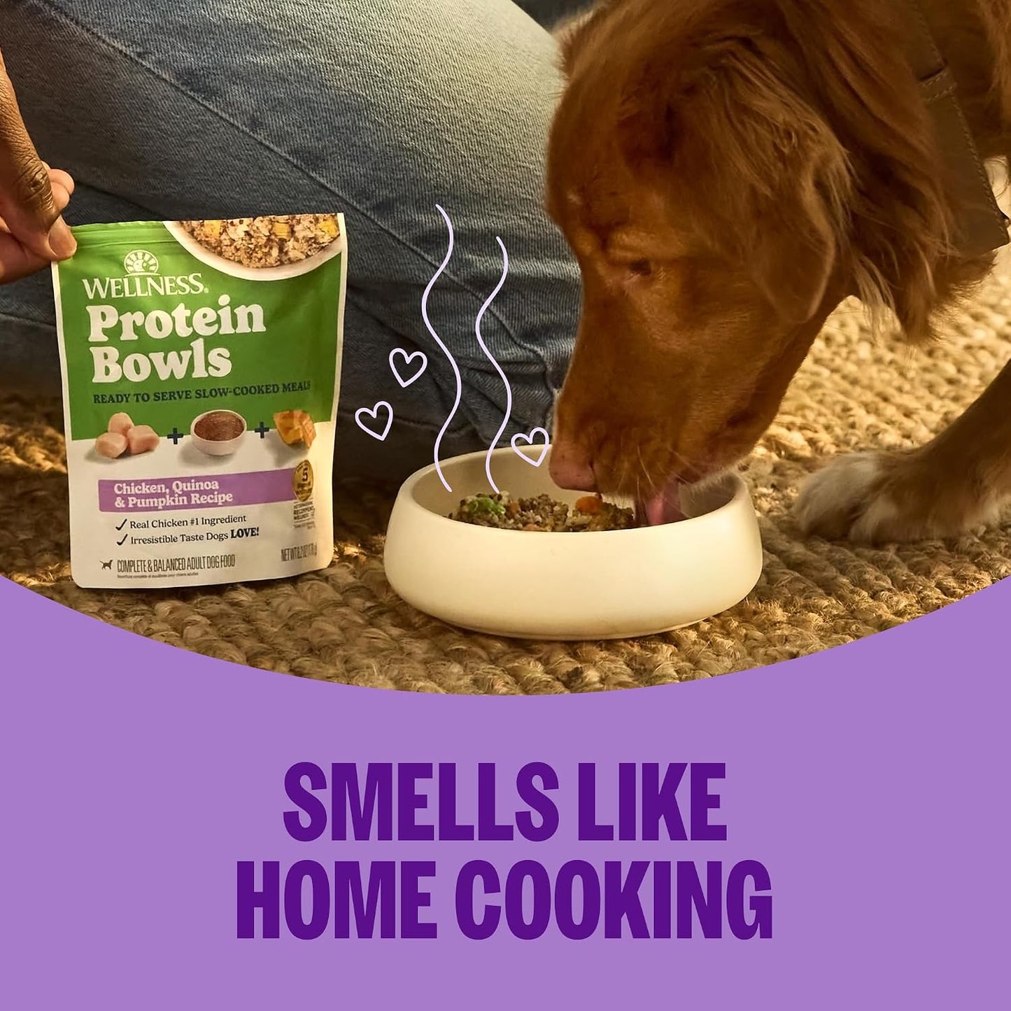 Wellness premium imported USA wet dog food pouches box opening view.