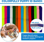 Ywingda puppy whelping supplies showing twelve multi colored identification collars and weight tracking charts.