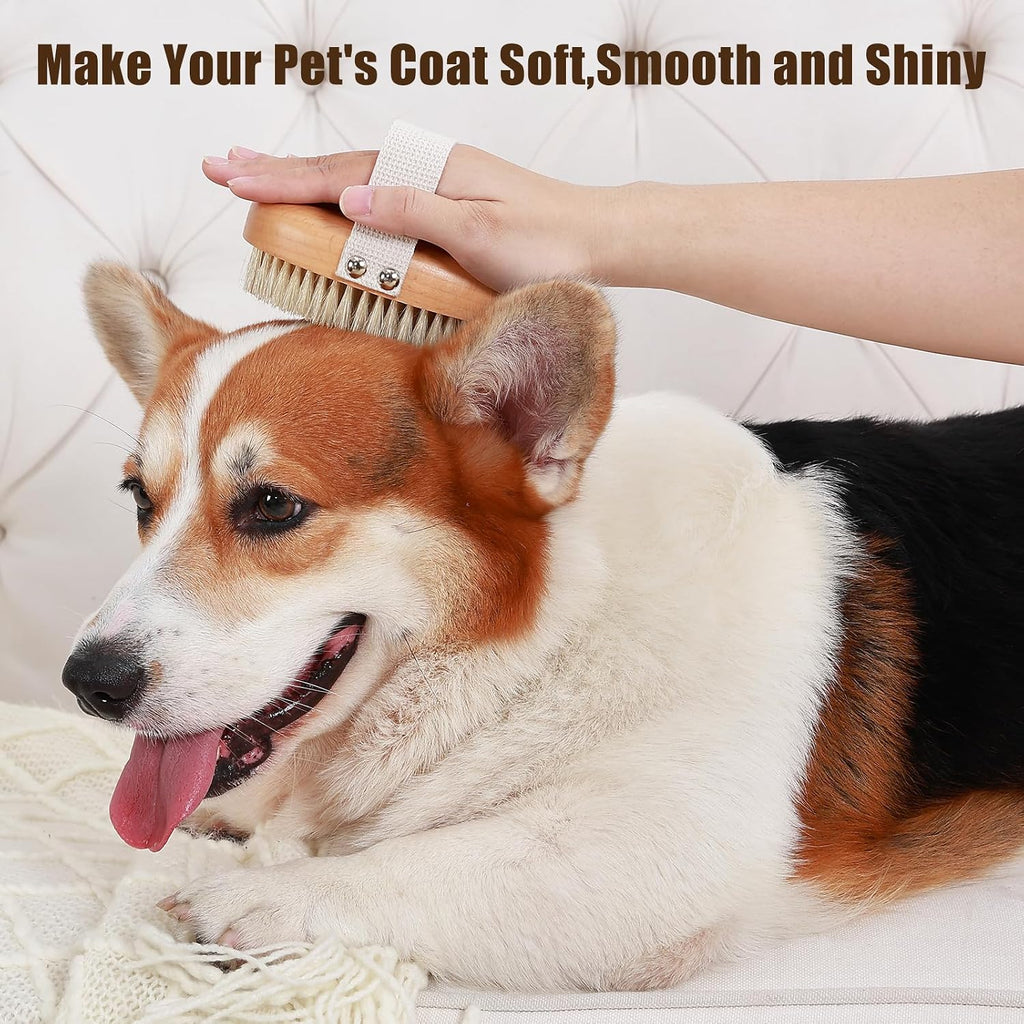 Soft natural boar bristle cat brush removing loose fur from a kitten.