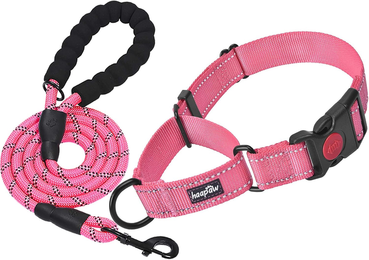 haapaw Martingale Dog Collar with Quick Release Buckle Reflective Dog Training Collars for Small Medium Large Dogs - Image 12