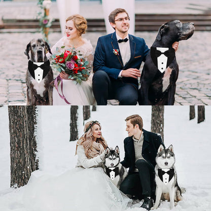 GOYOSWA durable nylon collar with detachable soft polyester tuxedo scarf for easy cleaning