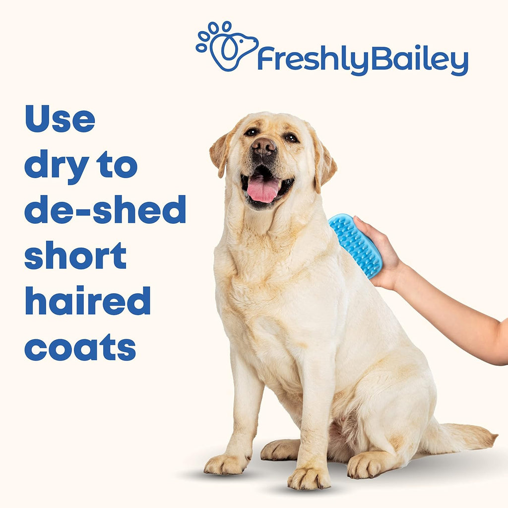 Freshly Bailey pet rubber brush being used for dry grooming on a short haired dog