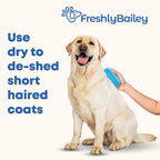 Freshly Bailey pet rubber brush being used for dry grooming on a short haired dog
