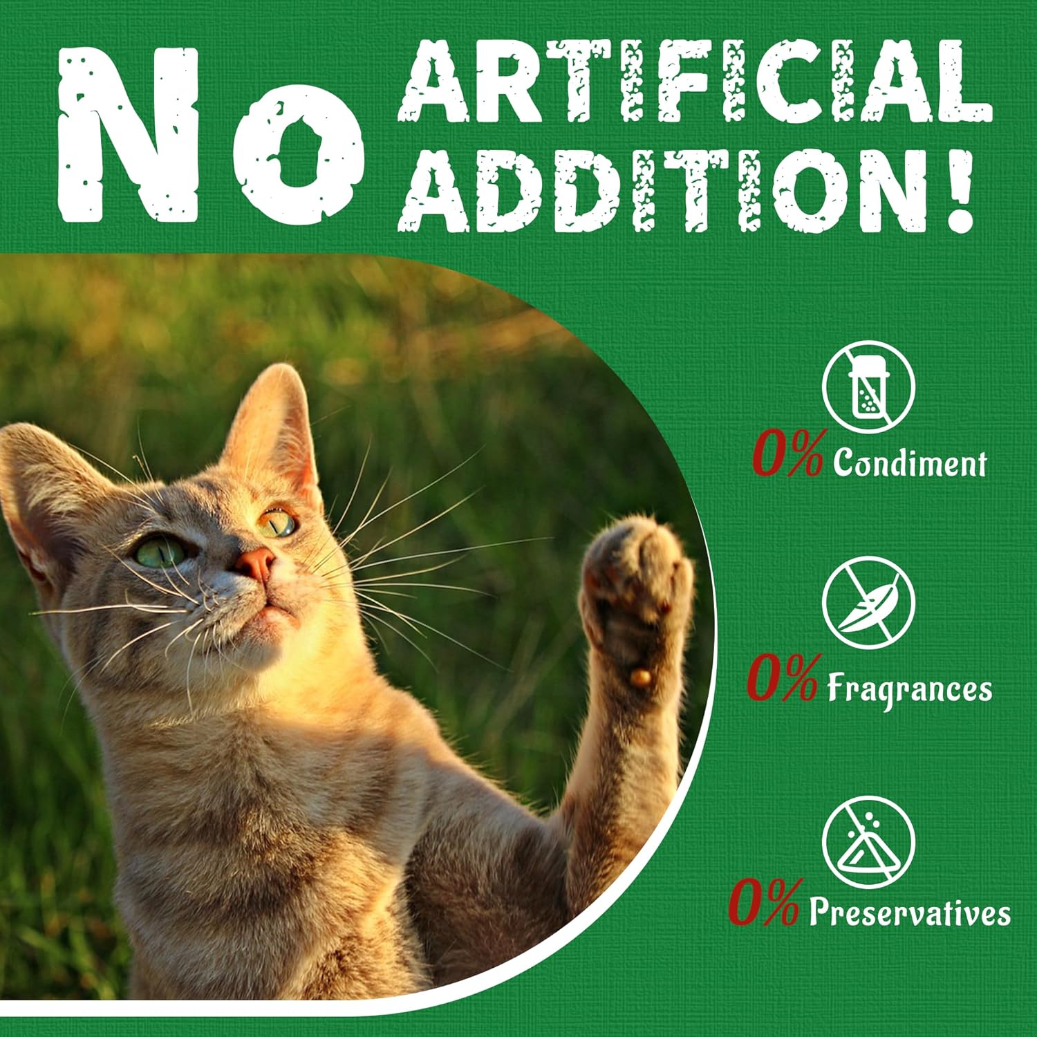 Just Try Cat Treats for Indoor Cats Hairball Control Natural Salmon Healthy Cat Grass Treats Kitten Snacks Training Biscuits Catnip for Cats Dental Care 13.4 OZ - Image 9