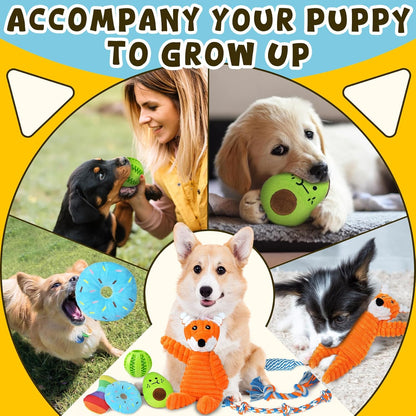 Zeaxuie dog toy set with accessories and poop bag roll