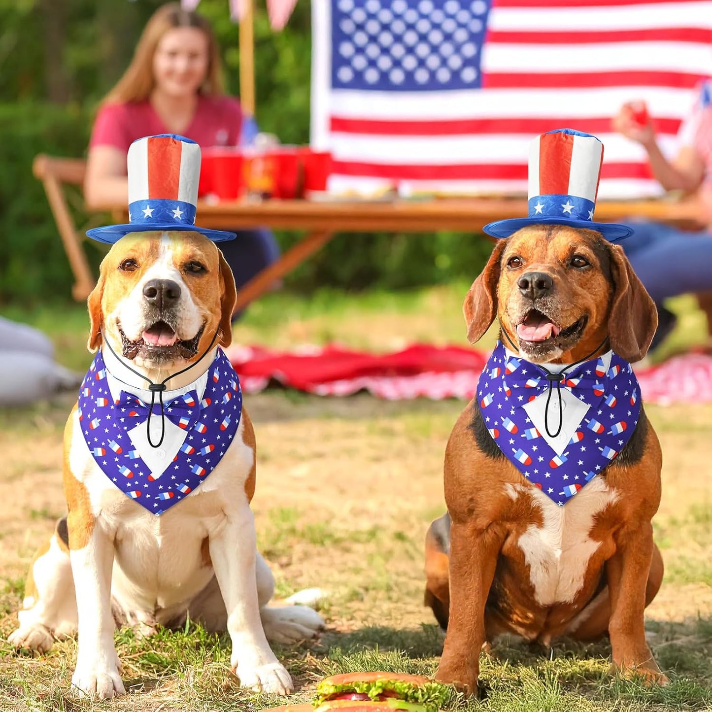Adjustable Velcro straps on ShuRung patriotic dog outfit close up.