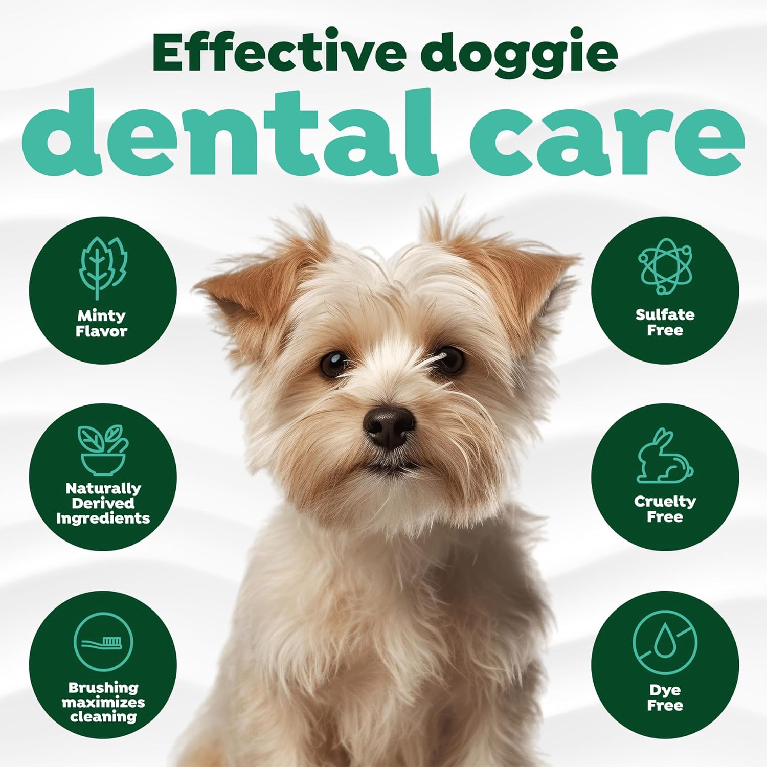 Side angle of the authentic USA imported TropiClean dog dental care kit.