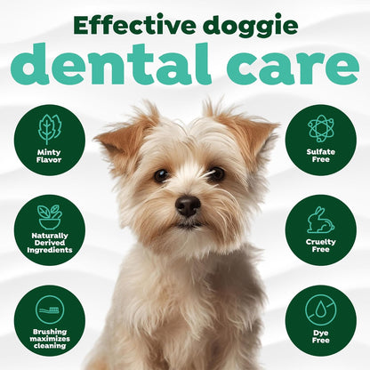 Side angle of the authentic USA imported TropiClean dog dental care kit.