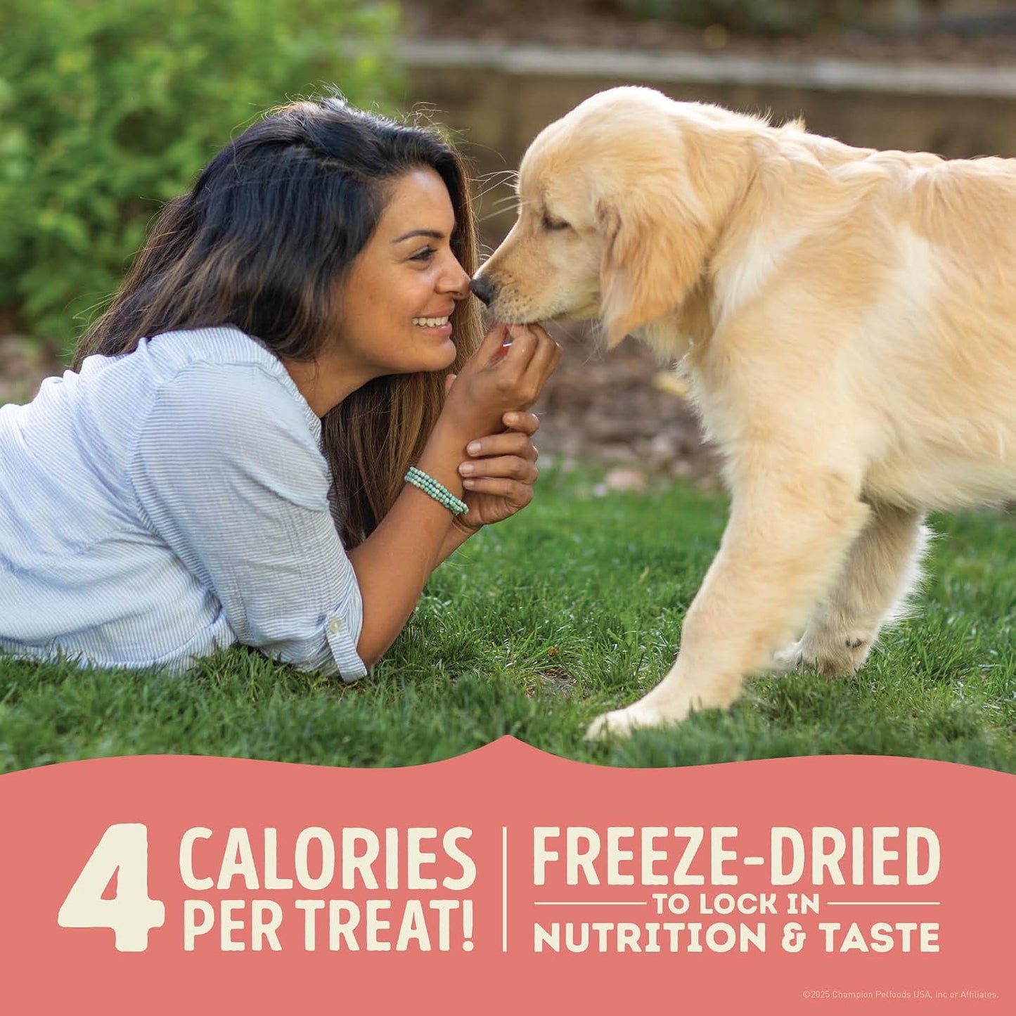 ACANA healthy four calorie beef and pumpkin training treats for puppies