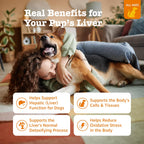 Zesty Paws dog liver support soft chews showing chicken flavor packaging