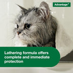 Rudra Retails authentic USA sourced cat treatment bottle