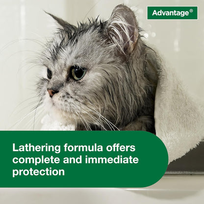 Non prescription flea killing shampoo bottle for grooming adult cats