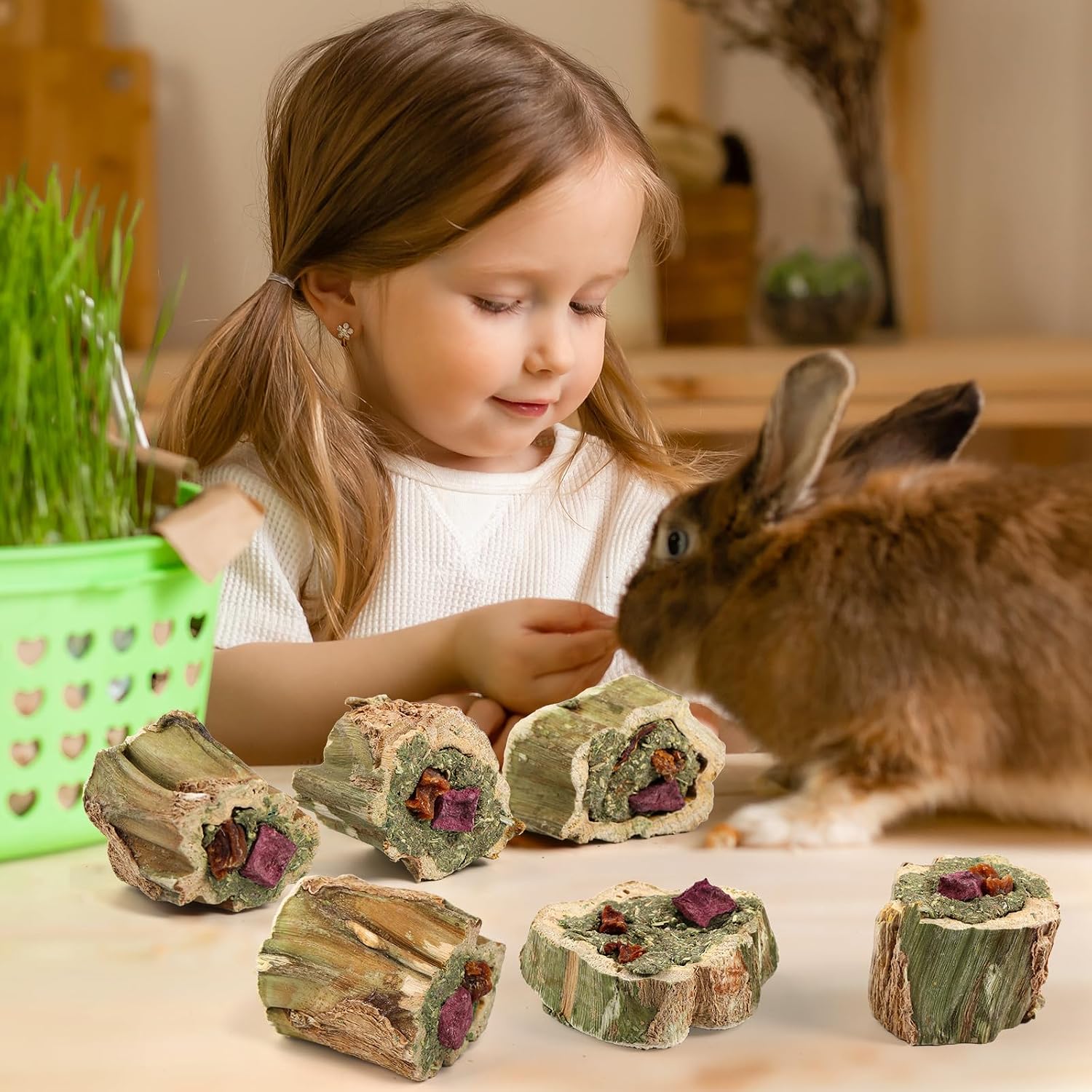 Abizoo premium imported chew toys for exotic rodent dental maintenance
