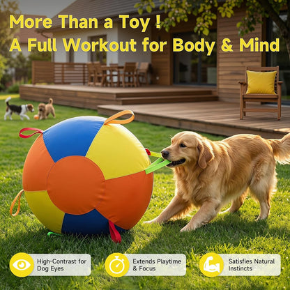 Dog pushing PawWorn inflatable herding ball outside