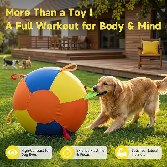 Dog pushing PawWorn inflatable herding ball outside