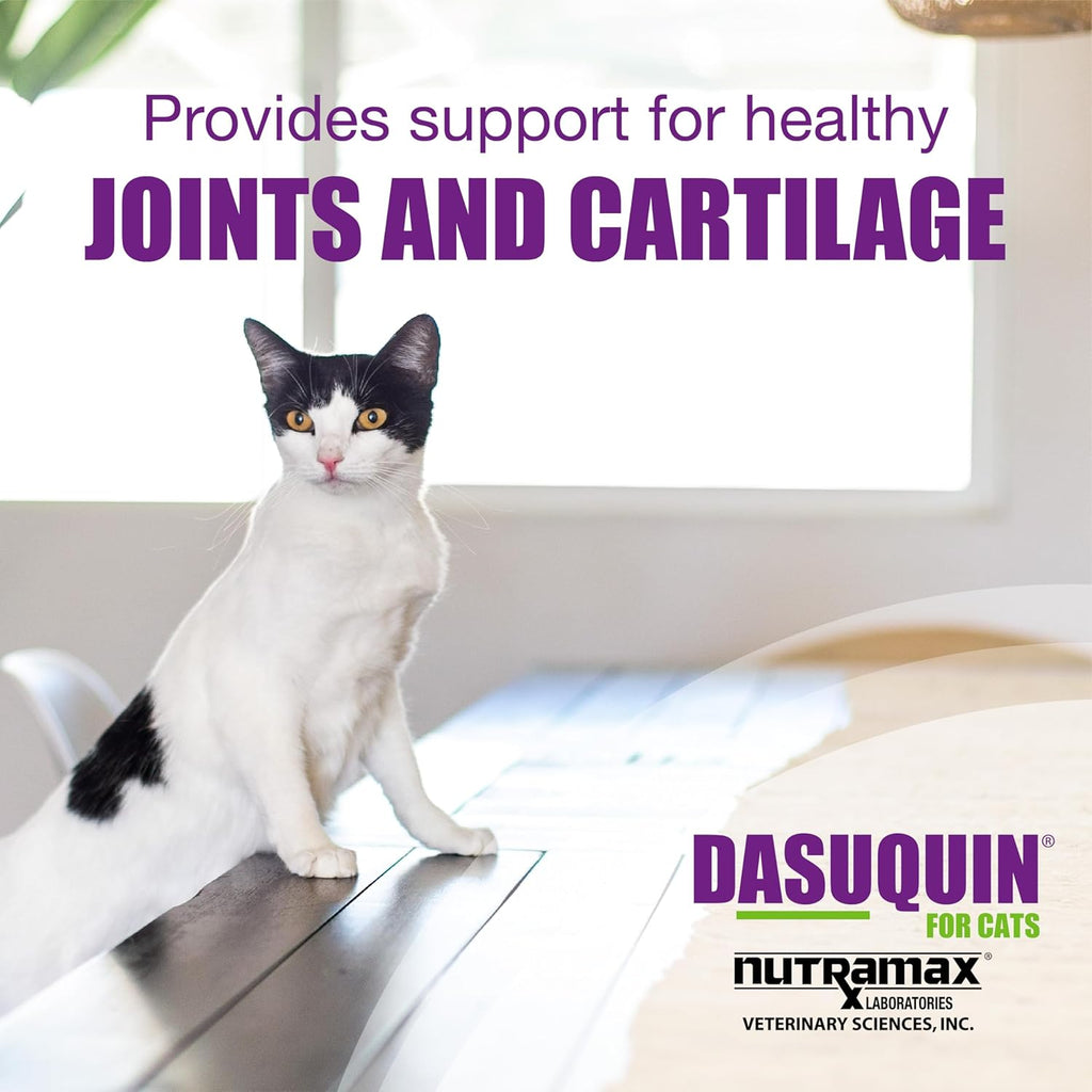 Back of Nutramax Dasuquin packaging showing ingredients