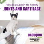 Back of Nutramax Dasuquin packaging showing ingredients
