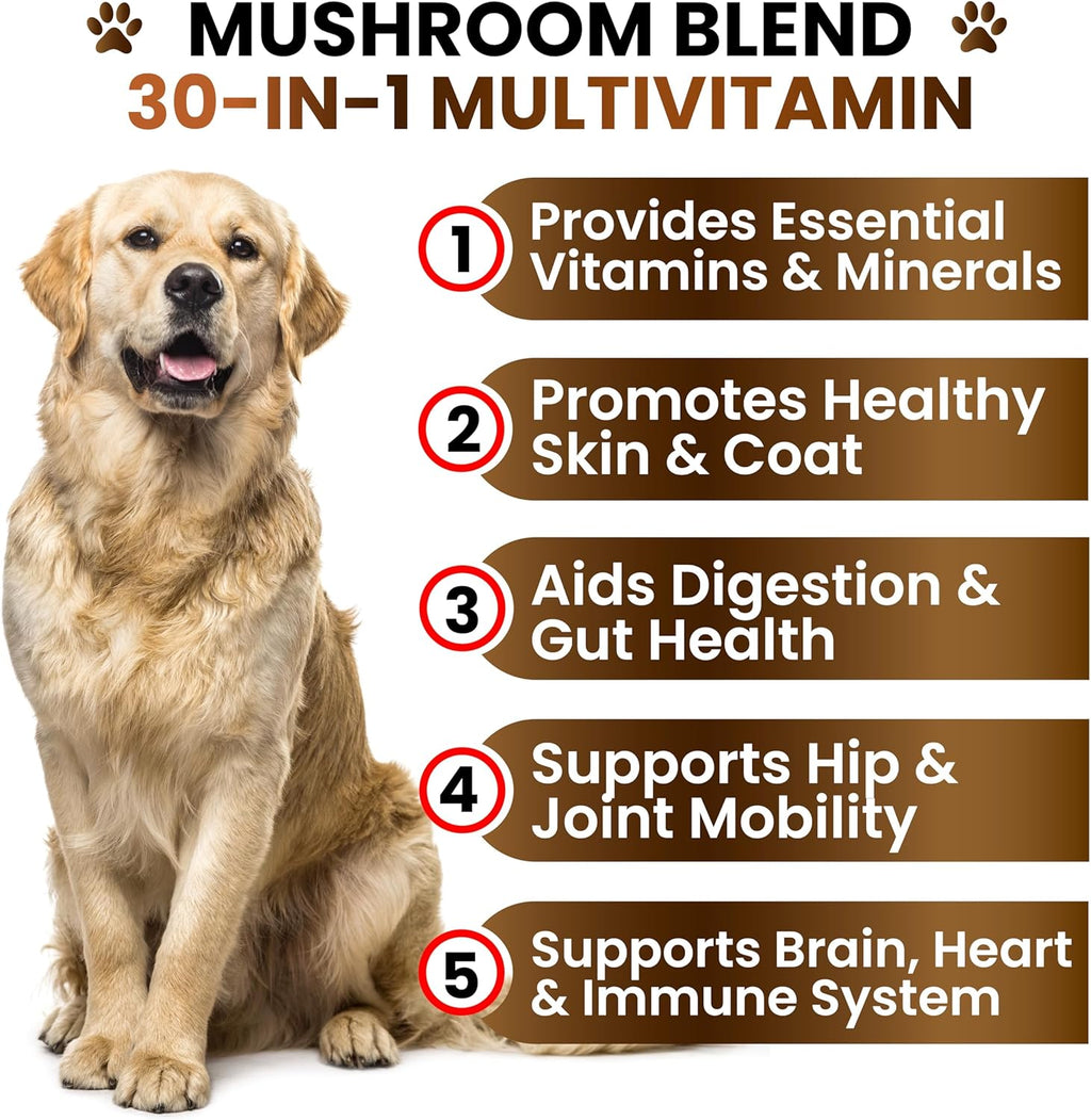 Premium USA imported Turkey Tail and Reishi mushroom soft chews for canine hip and joint support