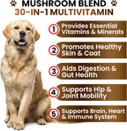 Premium USA imported Turkey Tail and Reishi mushroom soft chews for canine hip and joint support