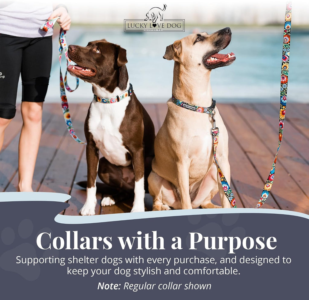 Durable floral pattern no buckle training collar for gentle control during walks.