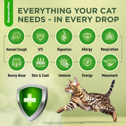 SalutemPet herbal feline immune support drops chicken flavor liquid close up
