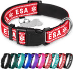 TECEUM Reflective Dog Collar - Aquamarine - M - Extra Soft Padding - Basic Nylon Pet Collar - Quick Release Buckle - Fits Small, Medium and Large Dogs, Puppies, Cats - ESA & Service Dog Options - Image 14