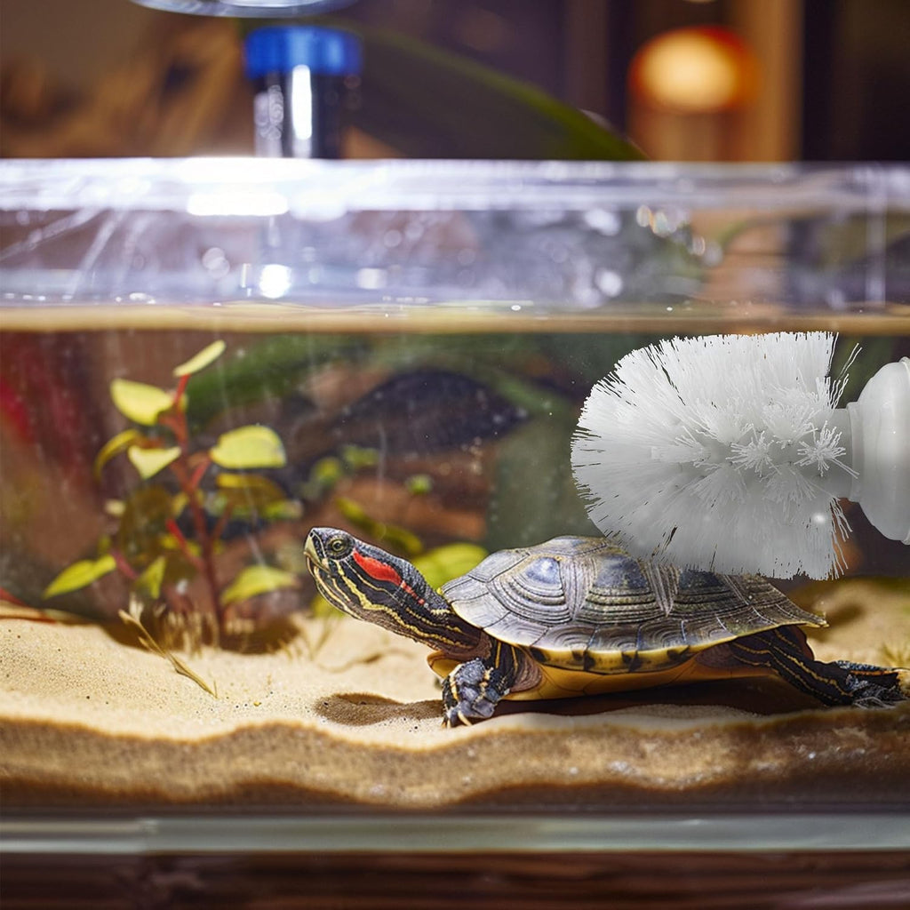 JJMOLLE reptile habitat enrichment accessory dimension view