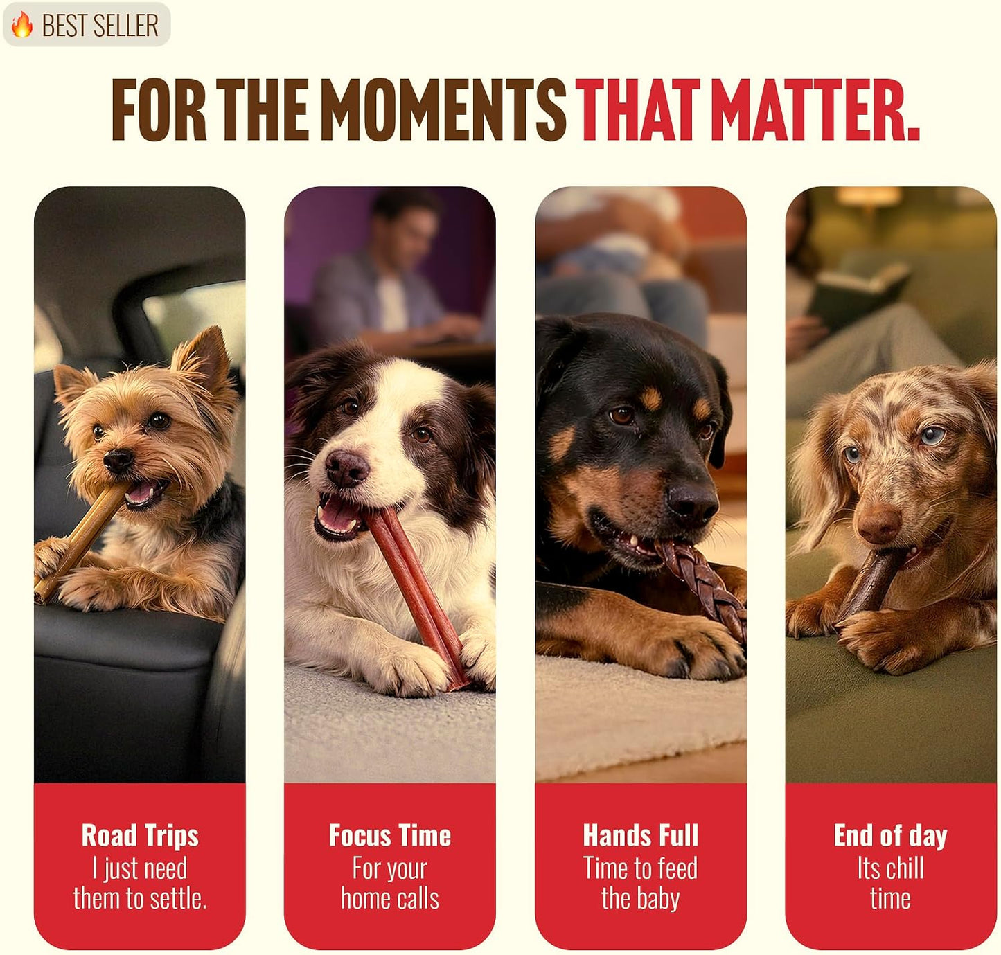 Premium easily digestible dog treats for healthy skin and coat
