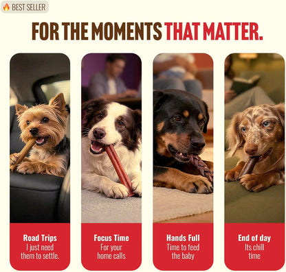 Premium easily digestible dog treats for healthy skin and coat