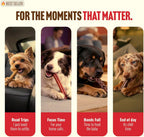 Single ingredient fully digestible dog chew stick in sugarcane packaging