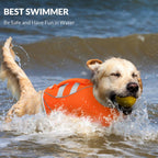 Queenmore durable water sports dog vest on a swimming retriever