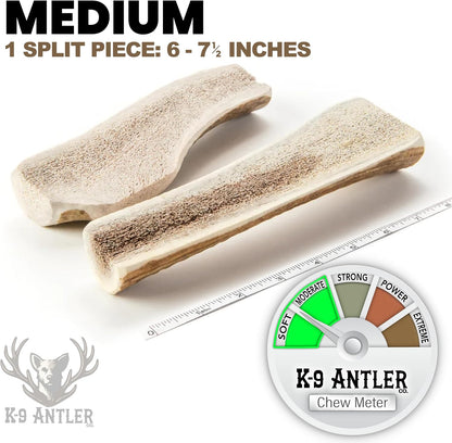 Natural split elk antler for medium sized dog breeds