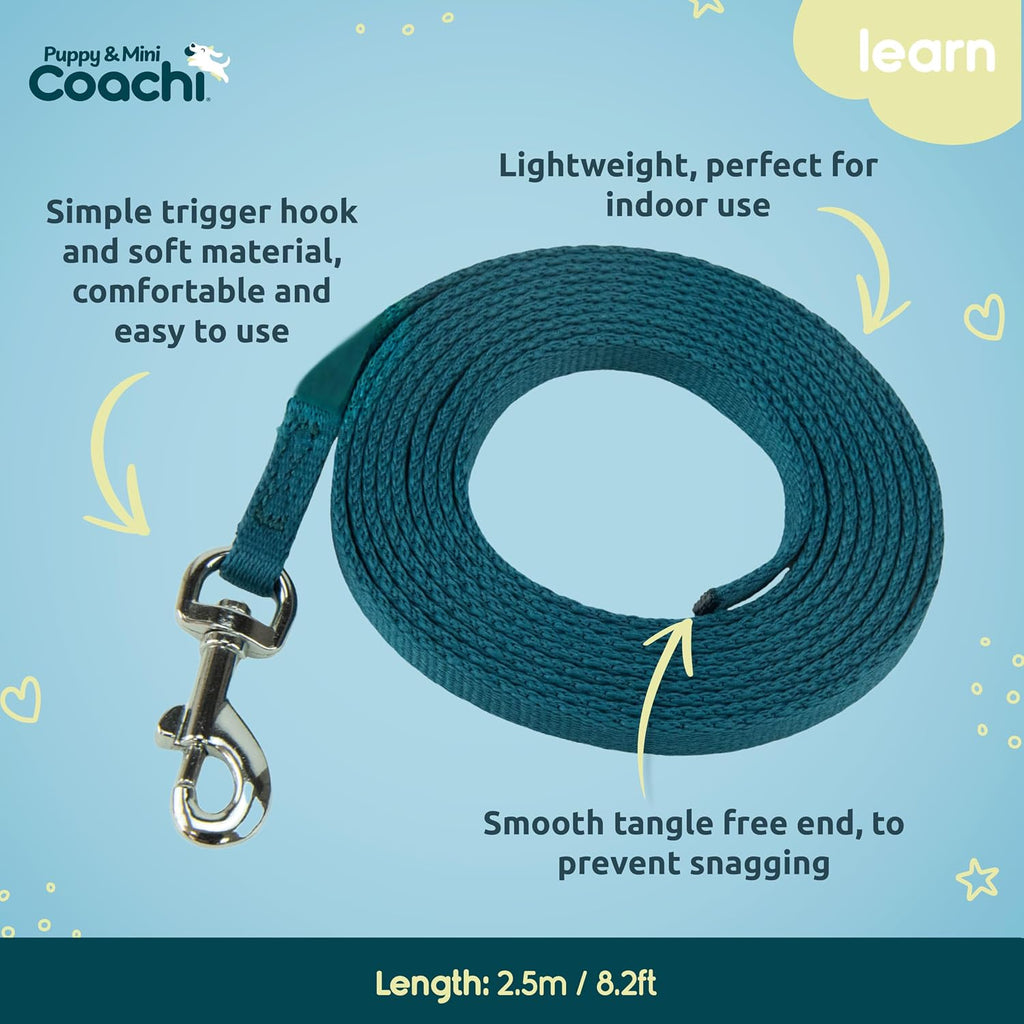 Coachi indoor lead nickel-plated clip close up details.