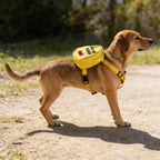 Vamsii comfortable composite cloth dog backpack for hiking and training