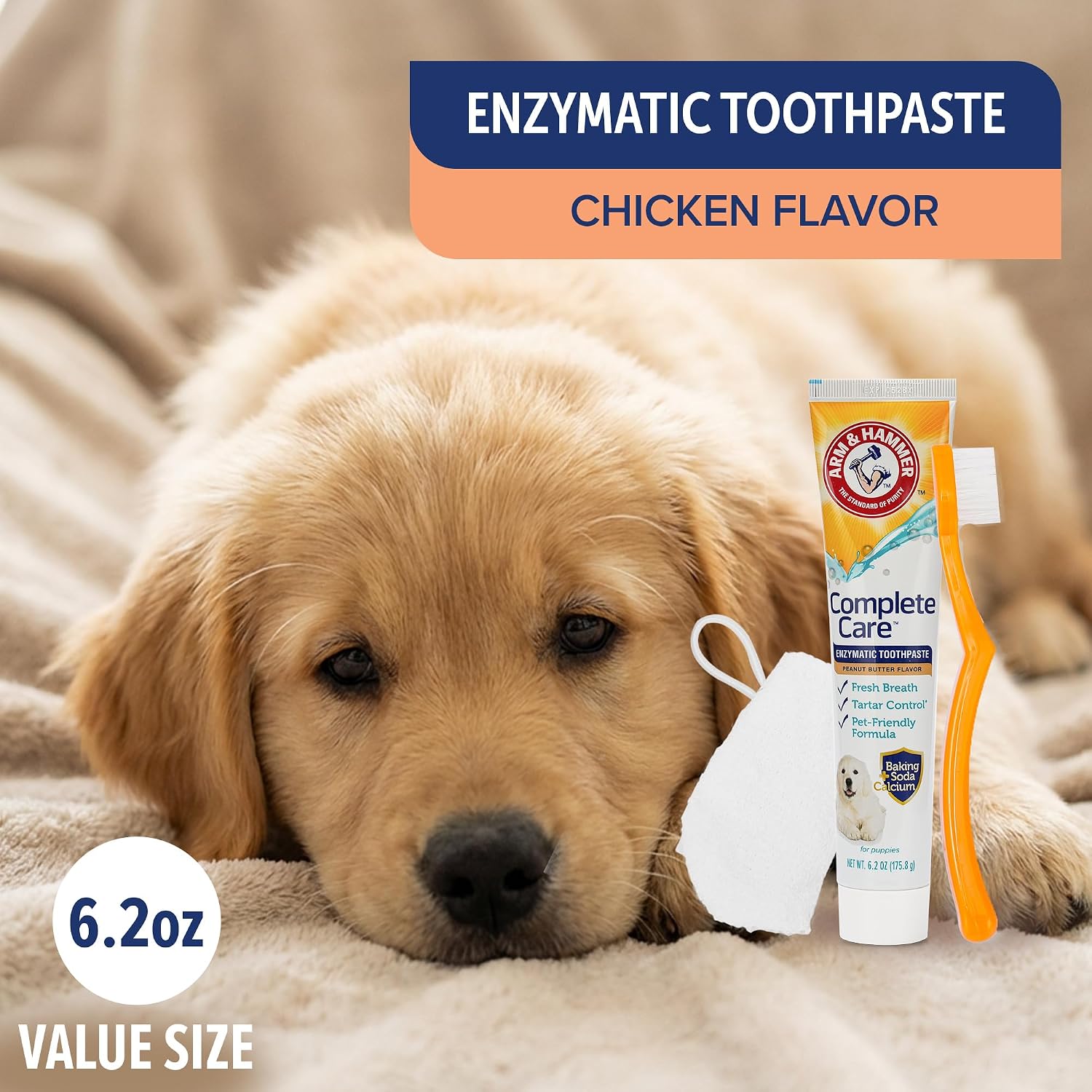 Dual-headed toothbrush for puppies included in the dental kit